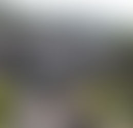 Taj Murah: The McMansions of Southeast Asia