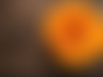 ハロウィンで有名なかぼちゃの種類・栄養素・保存法・美味しいサインの見方を解説