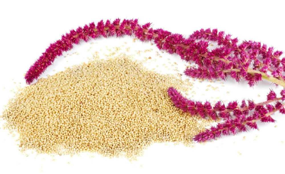 アマランサス 未来の食物 スーパーグレインと呼ばれる穀物とは アマランサス 未来の食物 スーパーグレインと呼ばれる穀物とは