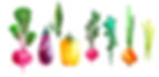 G-veggie about.jpg