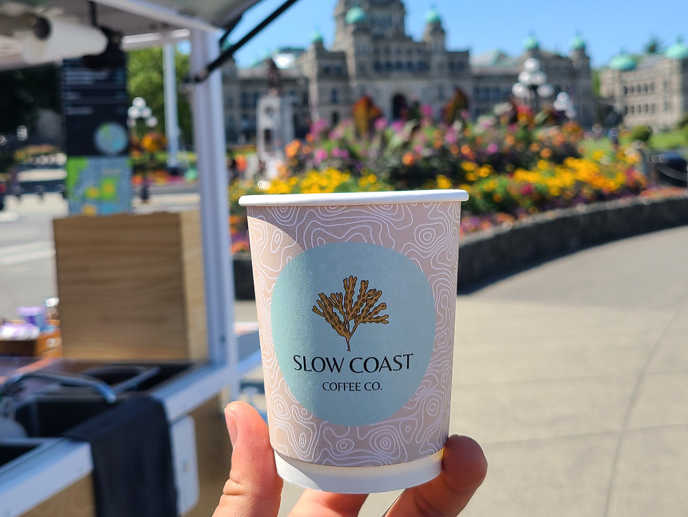 20260724_114219.jpg