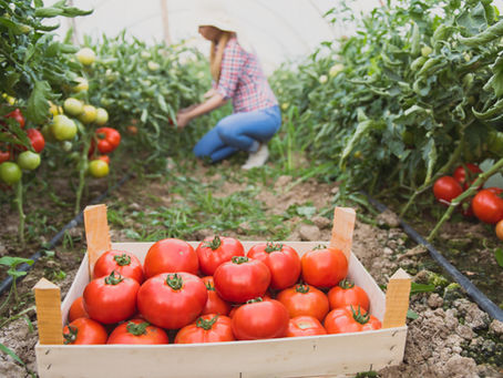 Coronavírus: Conheça as Políticas Públicas que Estão Ajudando Agricultores Familiares.
