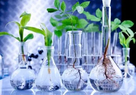 Biotecnologia pode potencializar efeitos de fertilizante e reduzir custos na produção