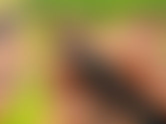 Irrigação por gotejamento e seus benefícios