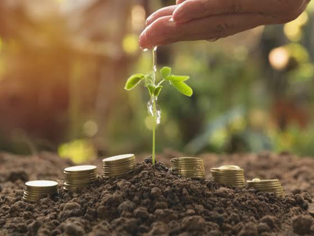 Planejamento Financeiro: O Caminho Certo Para o Seu Negócio
