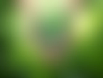 Agronegócio sustentável: uma breve realidade do Brasil