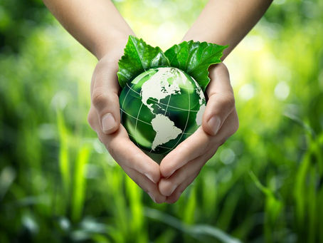 Agronegócio sustentável: uma breve realidade do Brasil