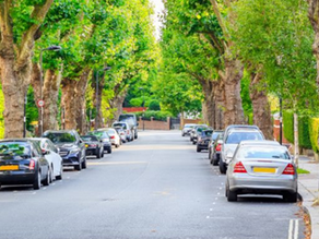 Trees In Urban and Rural Landscapes