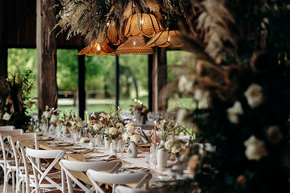 CLEMANTHO-DINER-50(1) 2.JPG