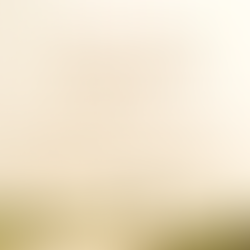 Et si on faisait un petit bilan de 2025 ?!