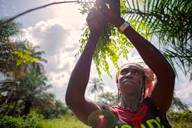 How Female Empowerment could solve Climate Change.