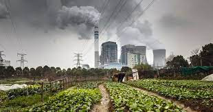 Why Globalization worsens the state of the Earth.