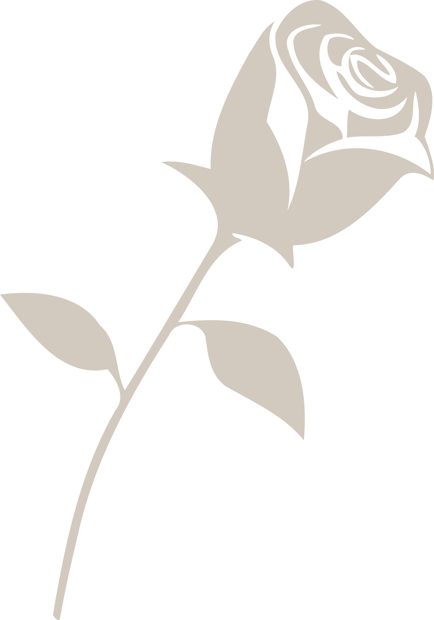 Rose-2.webp