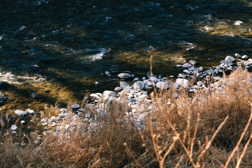 380240FE-1259-4CF3-94DC-C3D3005BD43D.jpe