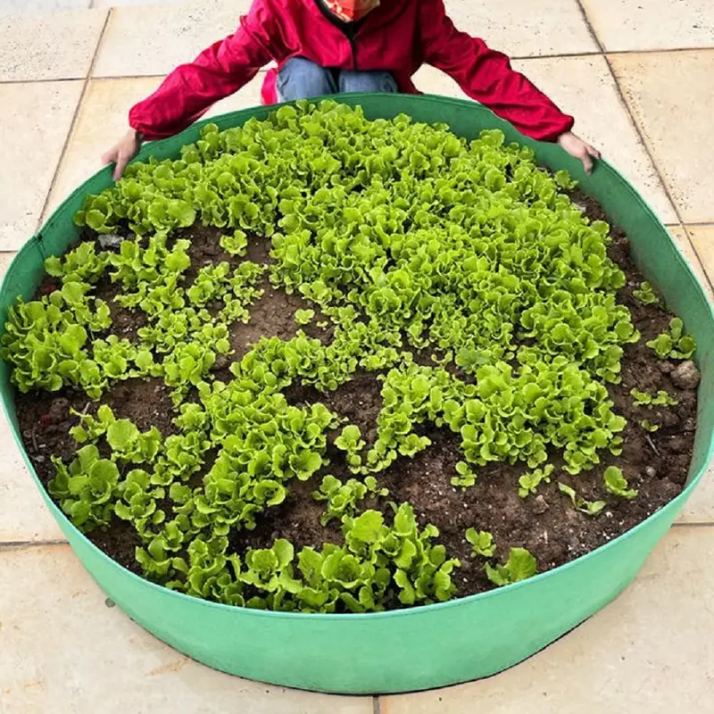 Plant grow bags