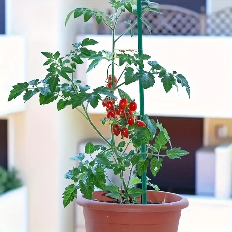 Green Bamboo Plant Stakes