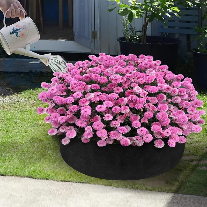 Plant grow bags