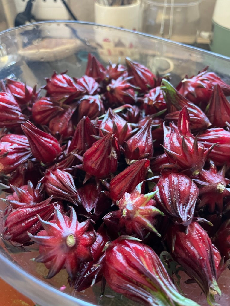 Thumbnail: Rosella Buds