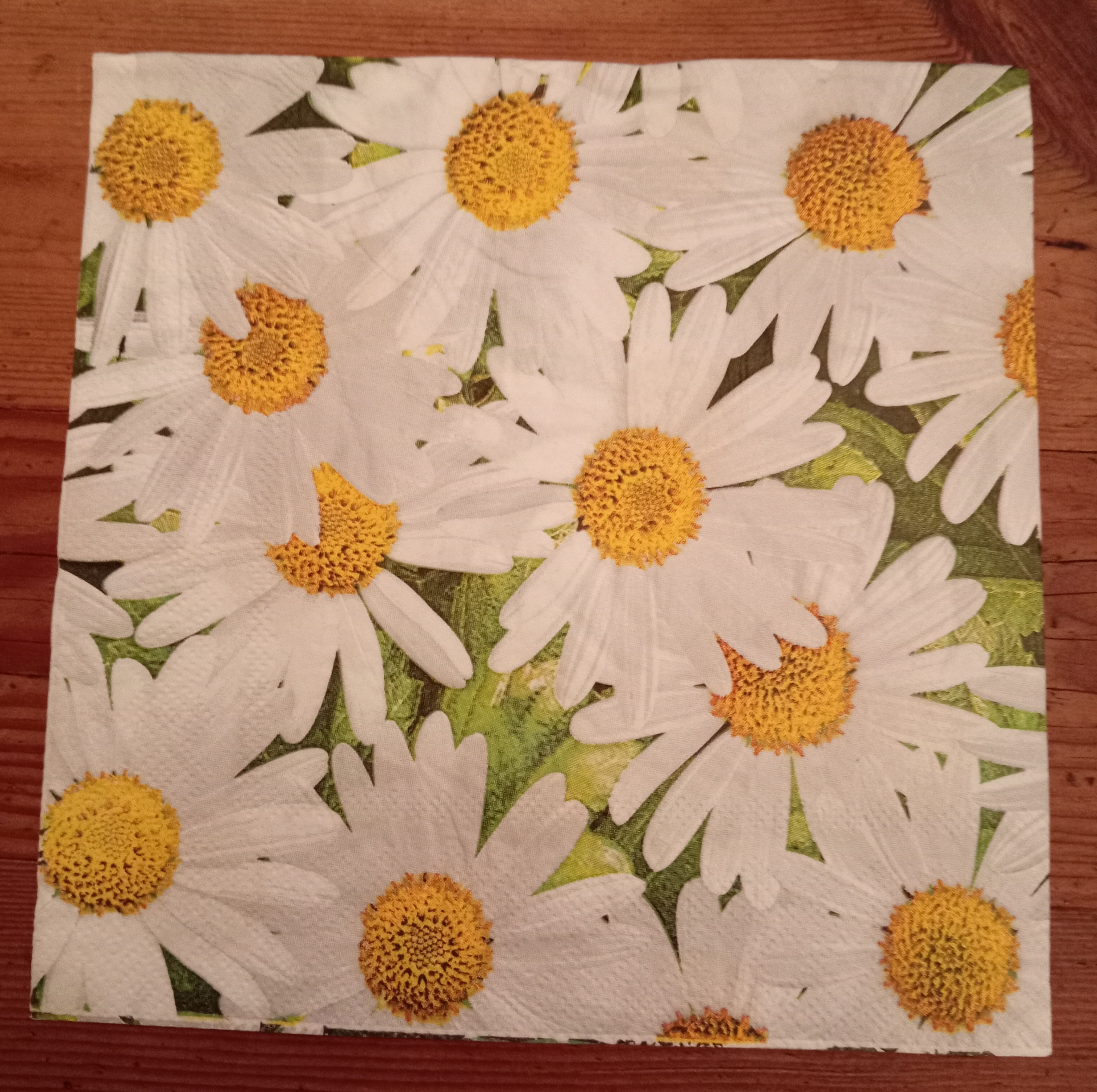 Daisy Serviettes