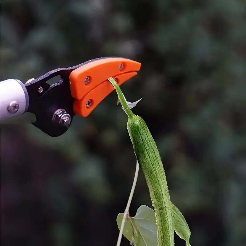 Fruit picking shear