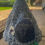 Thumbnail: birds nest 