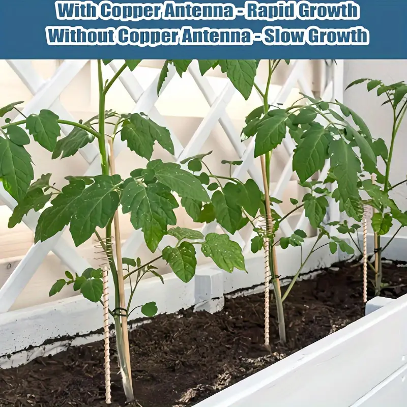Wooden ElectroCulture Plant Stakes