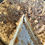 Thumbnail: fourteen cheesecakes
