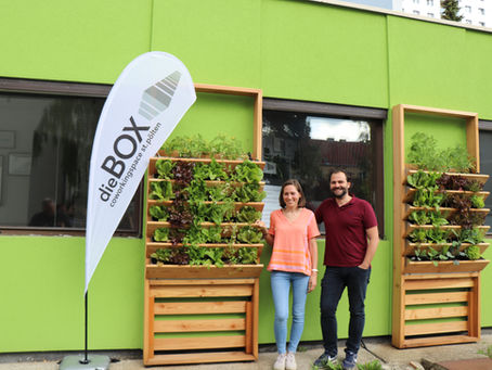 dieBOX und Herbios - Flexibel, grün und innovativ