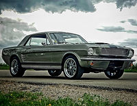 mustangTestimonial_edited.jpg