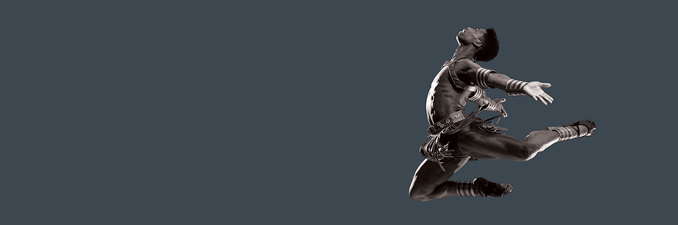ABOUT-FLY2.jpeg