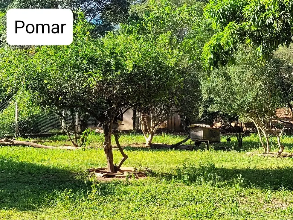 Miniatura: Fazenda Sobradinho - DF