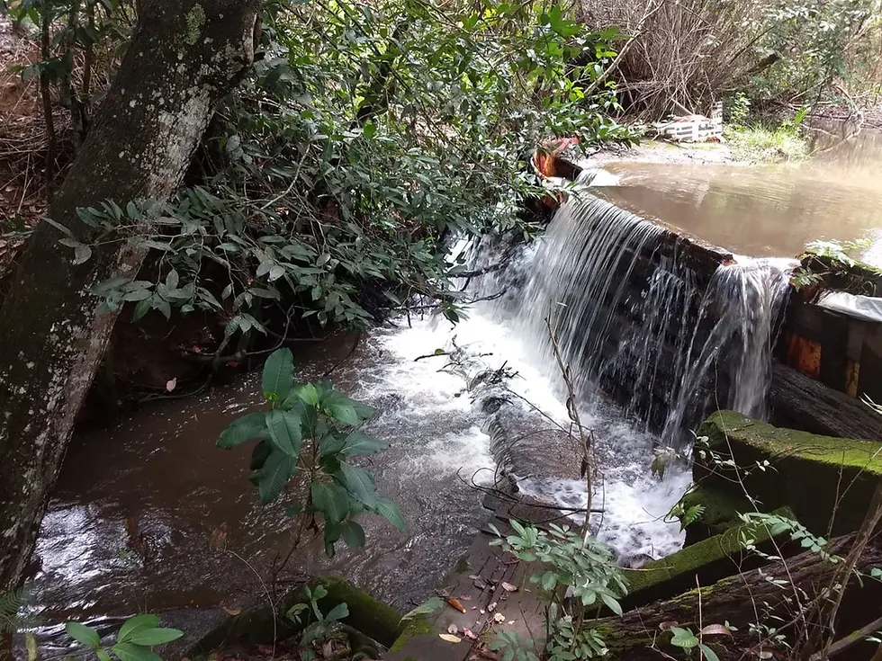Miniatura: Chácara no Café Sem Troco
