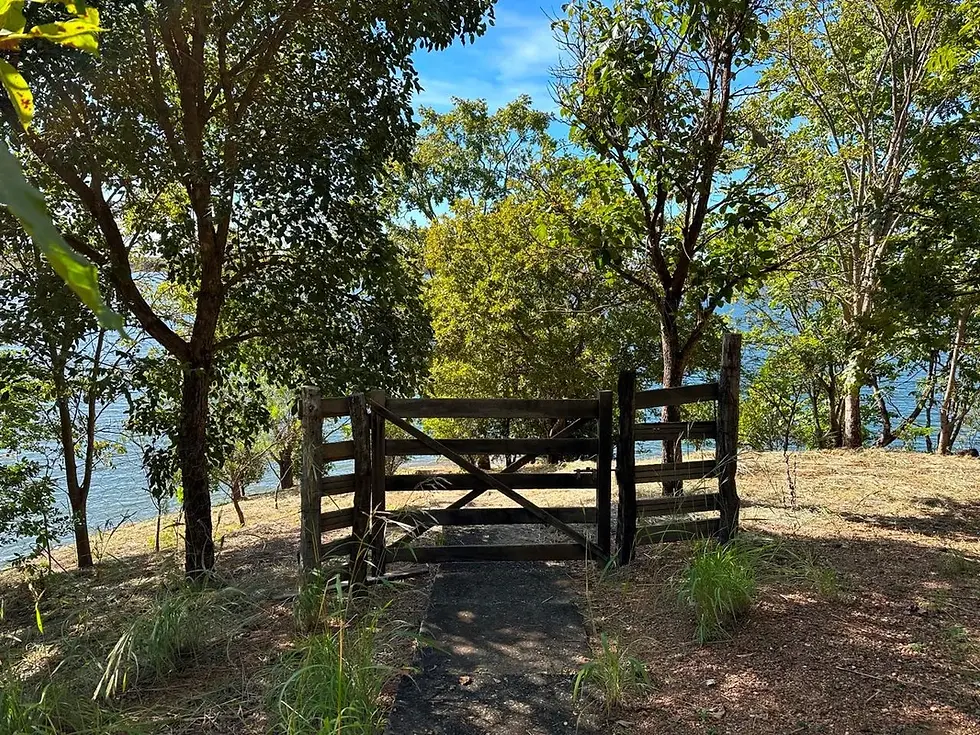 Miniatura: Chácara em Campo Lindo