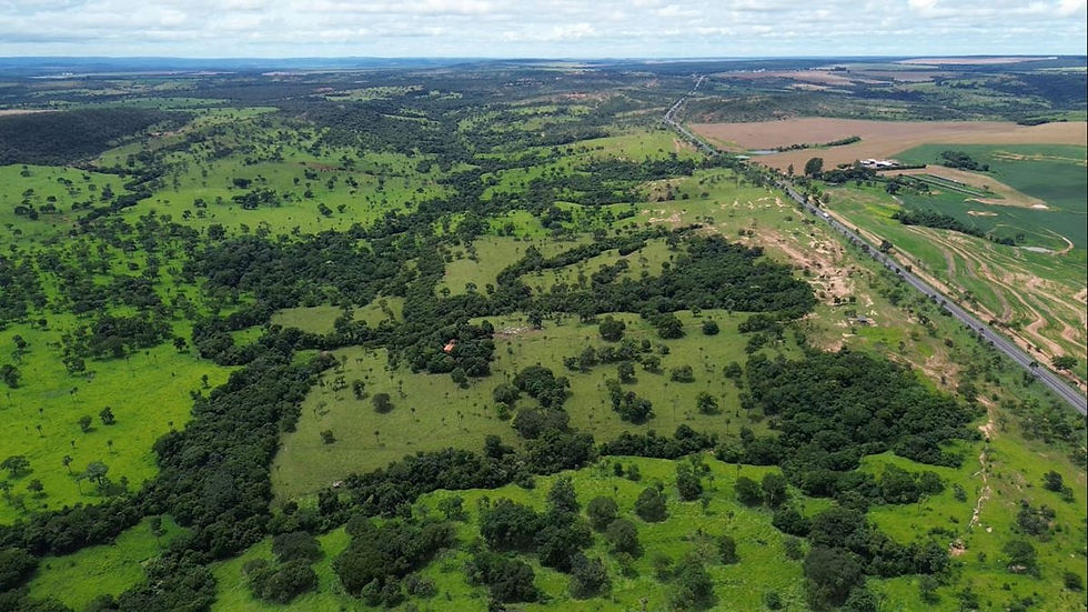Miniatura: Fazenda em Formosa - GO