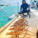 Captain Noble feeding his family from the Sea in The Bahamas
