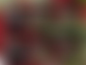 یادبود شش نیروی نظامی کانادا