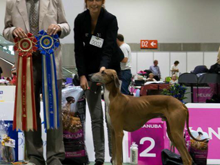 New Norwegian Champion!!
