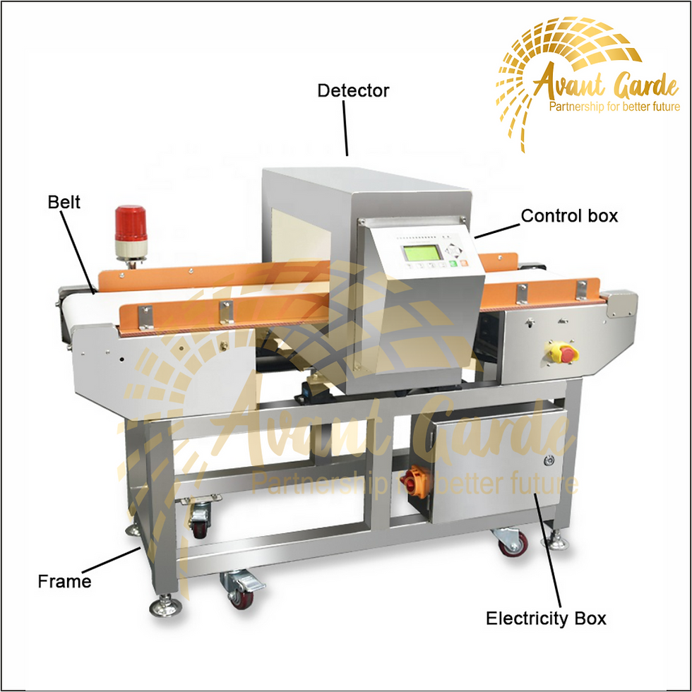 Thumbnail: Avant Garde Metal Detector Conveyor