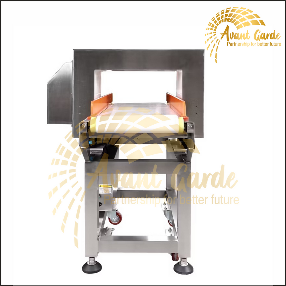 Thumbnail: Avant Garde Metal Detector Conveyor