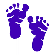 Baby Feet.png