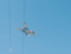 ERV08732_citric.jpg