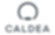Caldea2024.png