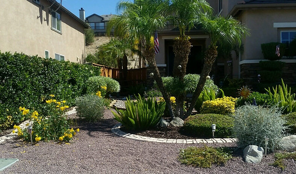 Custom stamped concrete edging surrounding a drought-resistant succulent garden to improve water retention in Murrieta.