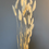 Thumbnail: Bunny Tails