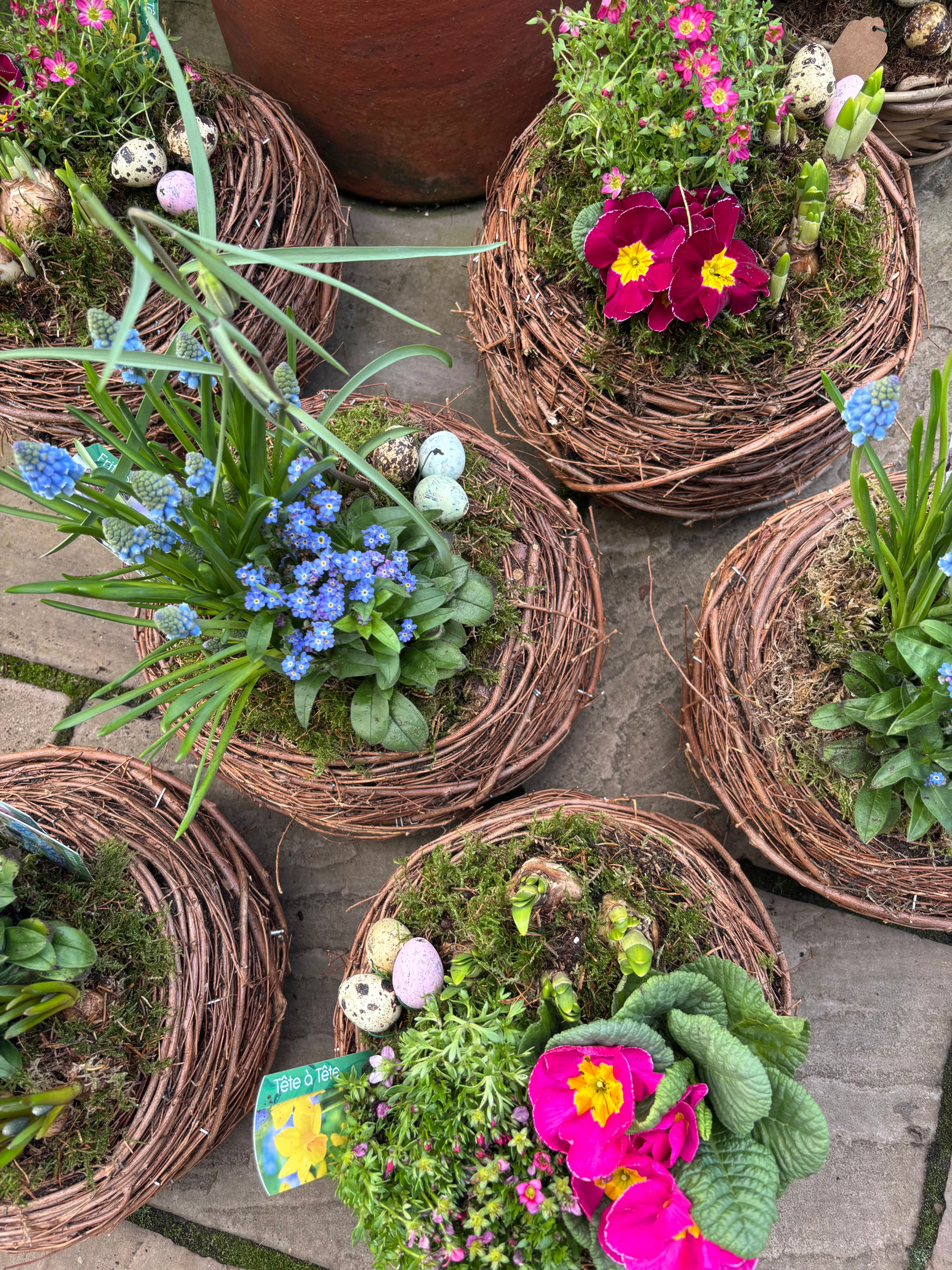 Spring Nest