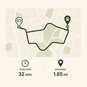 Dog walking