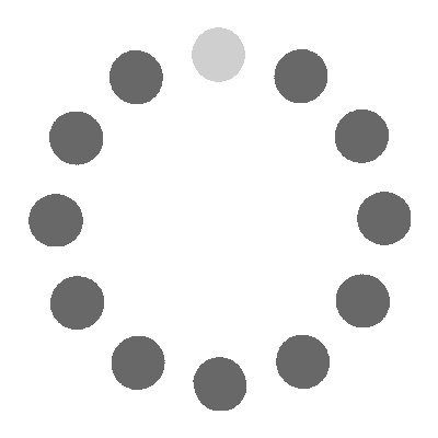 loading-13.gif