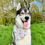 Thumbnail: Disney Dogs Bandana