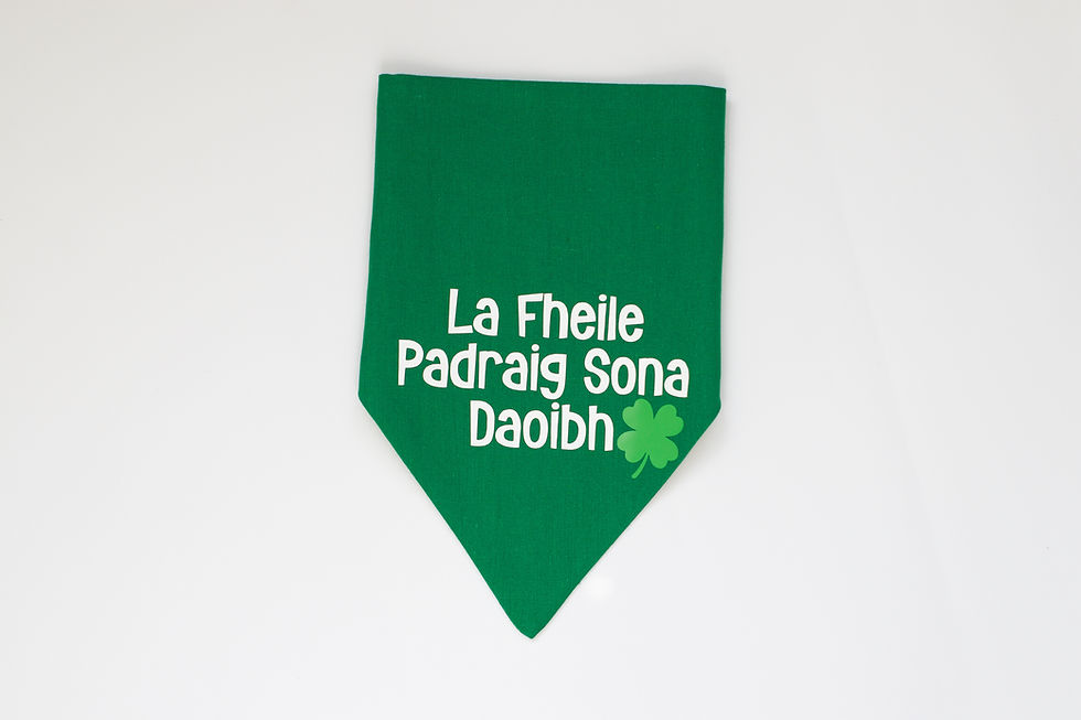 Thumbnail: St Patrick's Day Dog and Cat Bandana