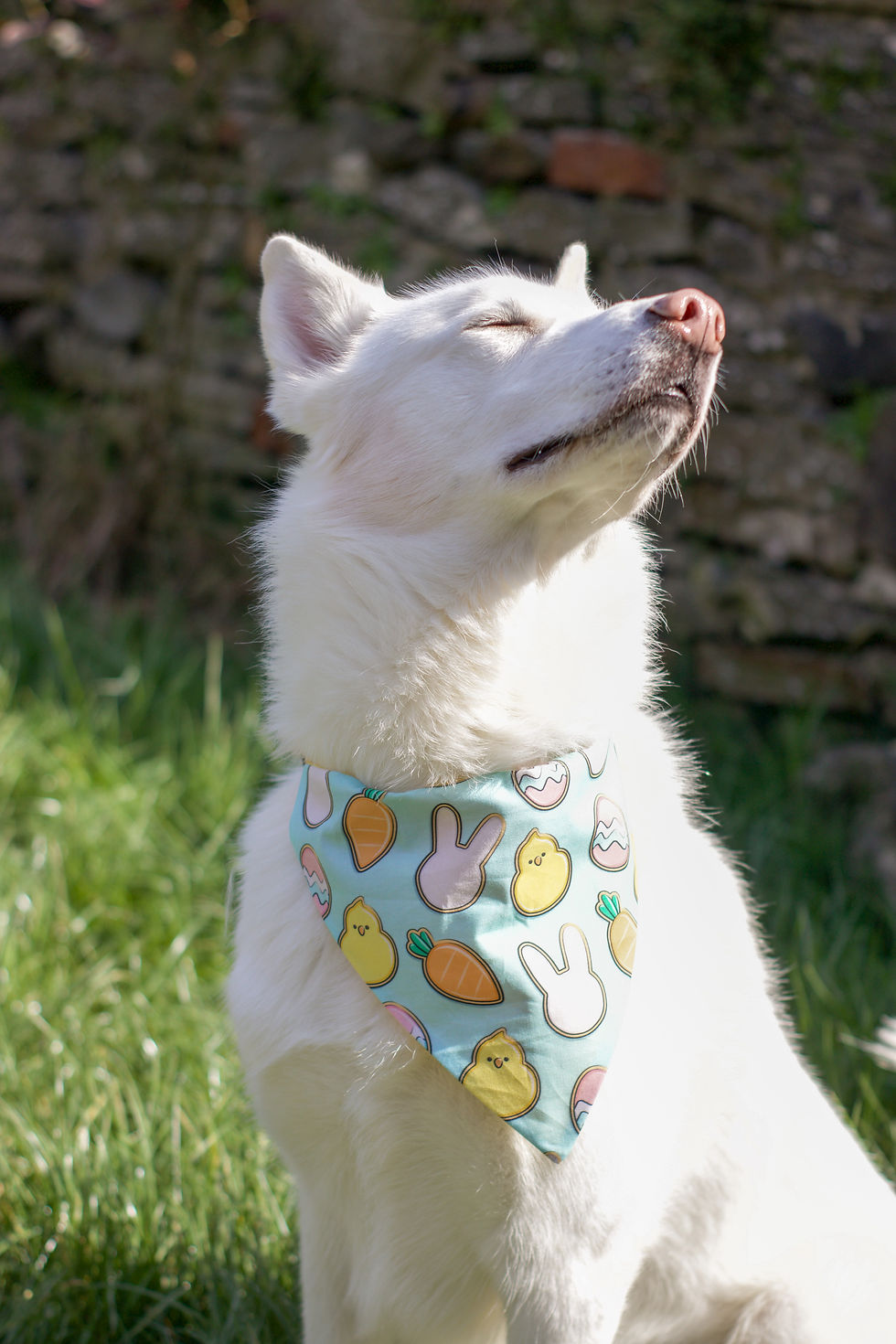 Thumbnail: Spring Cookies Bandana
